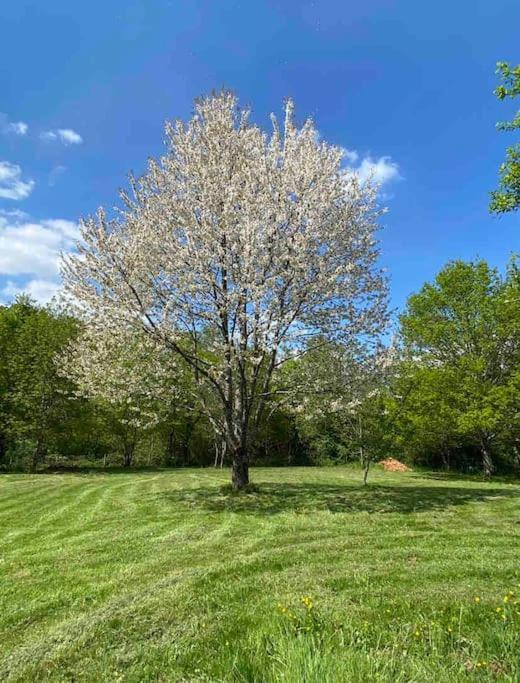 Spacious 1 Bed Home With Shared Pool Champagnac-la-Rivière Extérieur photo